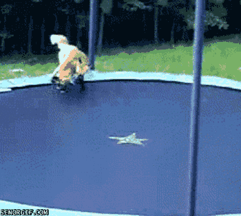 2011_07_23_16_49_chzgifs_files_wordpress_com_2011_07_foxes_on_a_trampoline.gif (350×314)