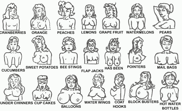 http://www.thehumorarchives.com/attachment_files/breasts.gif
