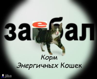 http://vvv.igromania.ru/pic/fun/kk.jpg