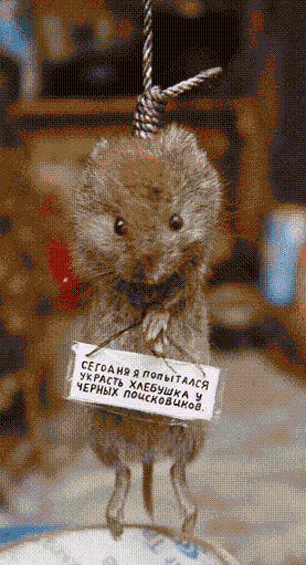 http://voffka.com/archives/mouse_dead.gif