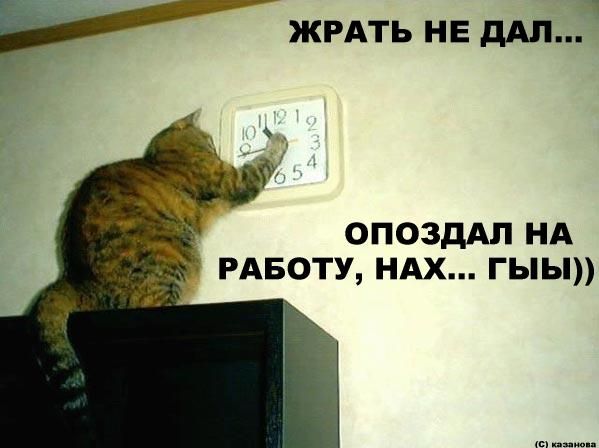 http://www.ljplus.ru/img/ka3ahoba_lt/050515_cat.jpg