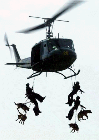 http://www.strike-the-root.com/caption3/copter_dogs.gif