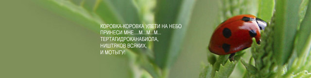 http://obp.ru/~mescaline/photo/korova.jpg