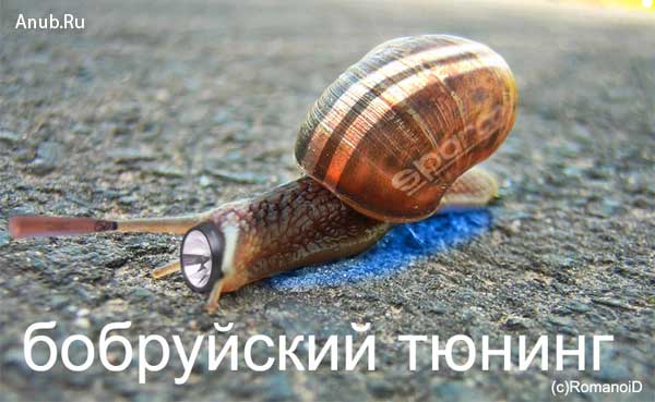 http://blog.relink.ru/images/uploads/bobrtuning.jpg