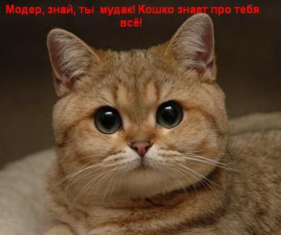 [:]|||||||||||||||[:]