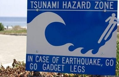 http://img834.imageshack.us/img834/3732/tsunamiwarning.jpg