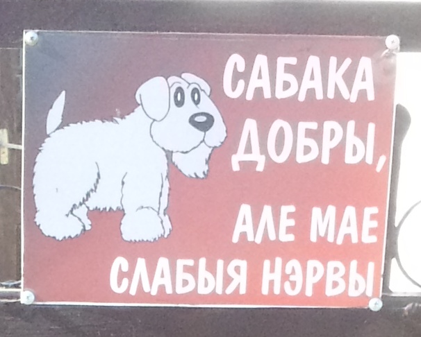 Пиривот. Злая собака и добрая собака. Злая собака добрая собака Мем. Собака добрая но нервы слабые. Добрый пес но со слабыми нервами.