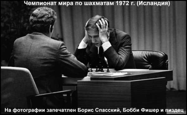 http://ukorizna.ru/images/2013/chess.jpg