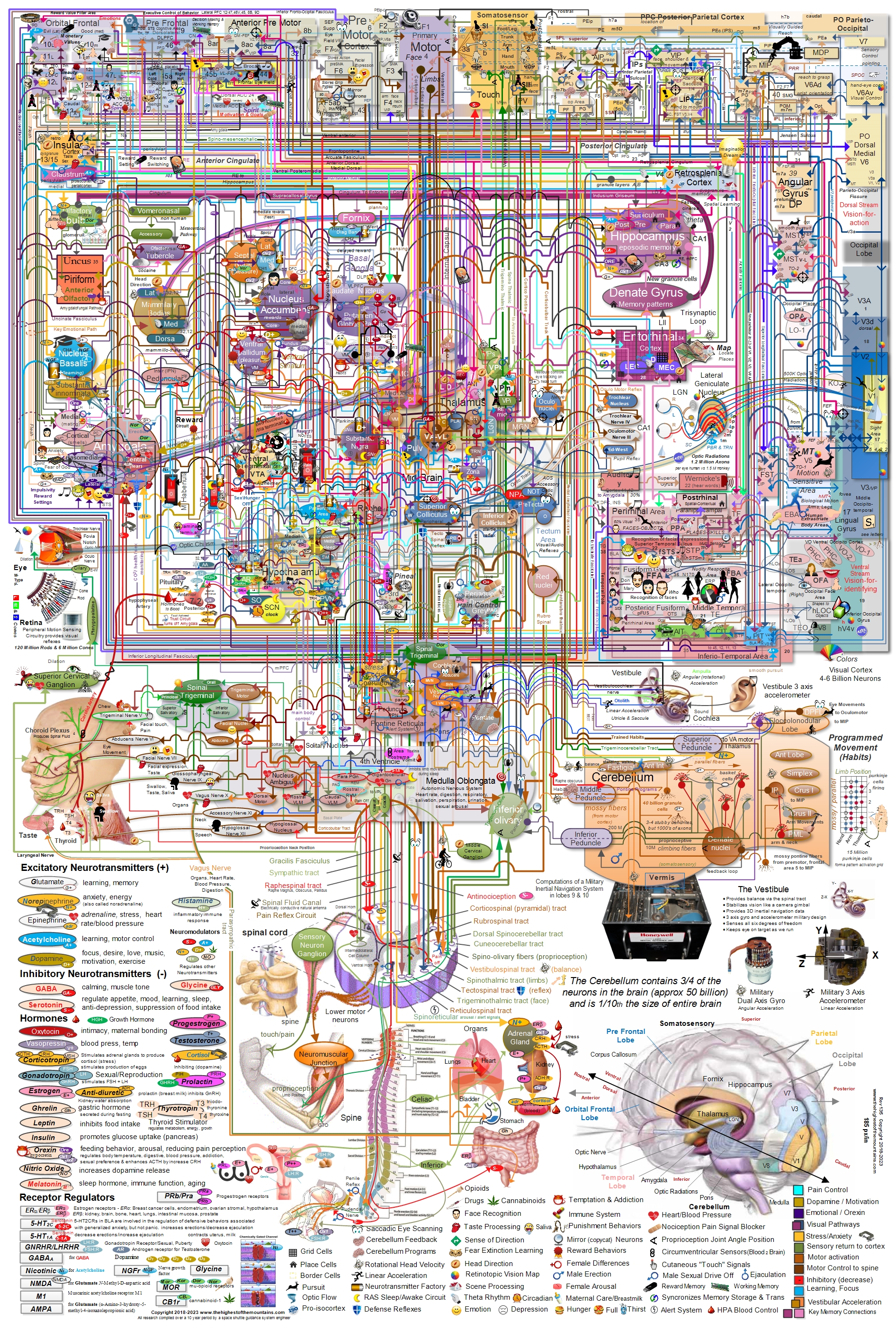 https://www.thehighestofthemountains.com/images/thehighestofthemountains_brain_map_135a-185px.jpg