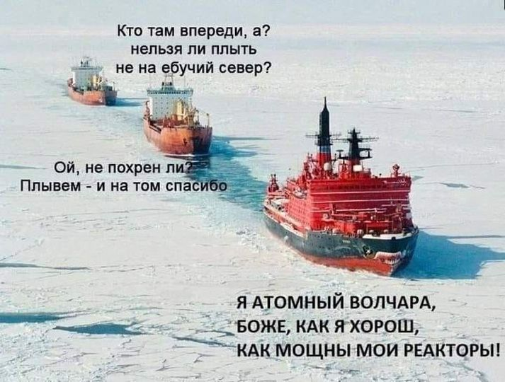 https://cs15.pikabu.ru/post_img/big/2024/10/16/5/1729059493111977102.png