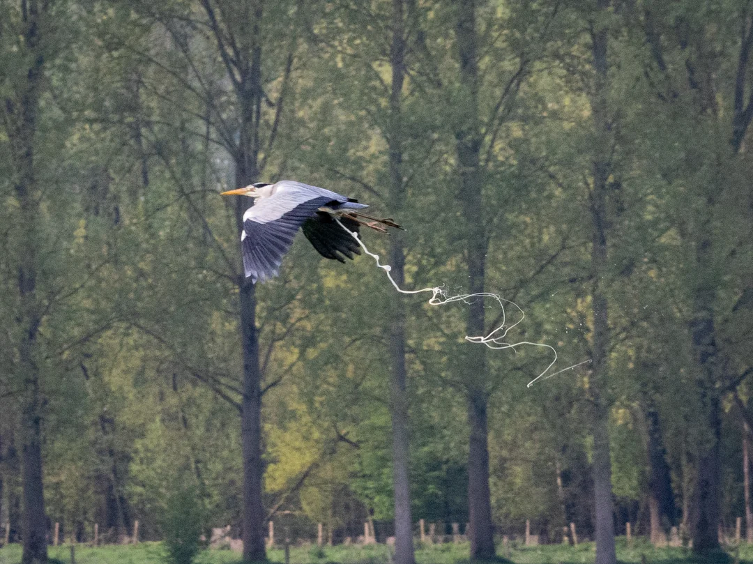 https://cs15.pikabu.ru/post_img/big/2024/10/18/7/1729251879144643913.png