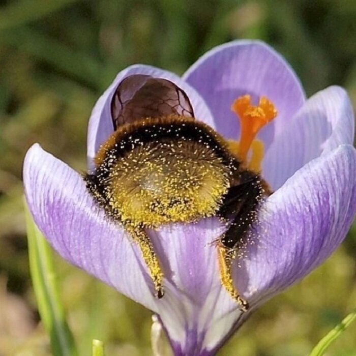 https://cs18.pikabu.ru/s/2025/05/01/09/zkxrcjb3_lg.jpg