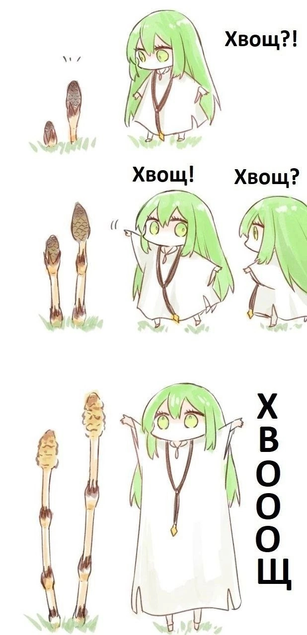 https://cs17.pikabu.ru/s/2025/05/15/18/xufvkjrs.jpg