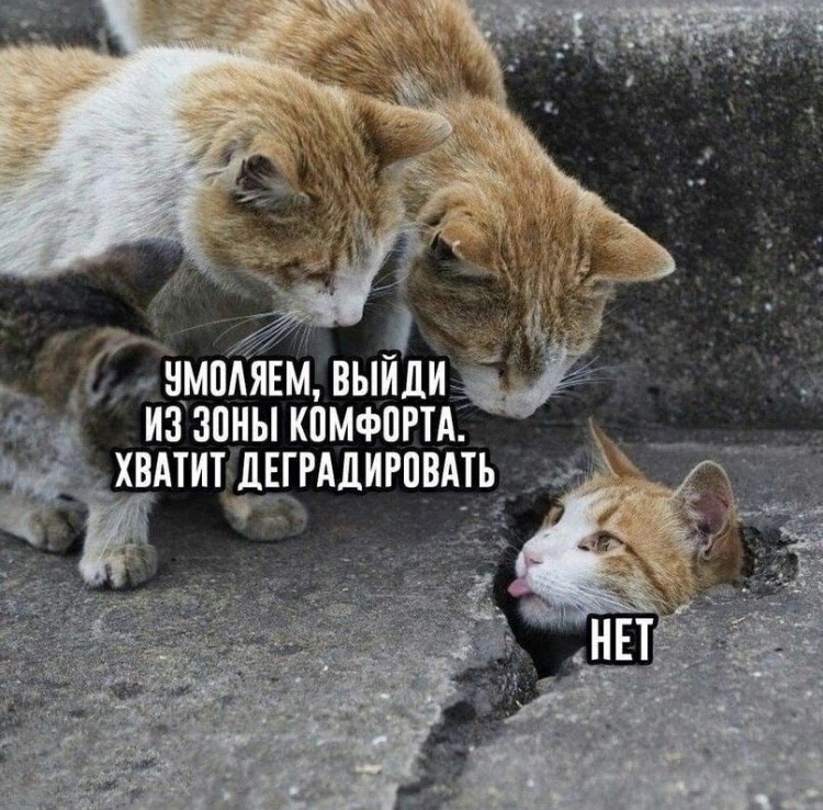 https://ic.pics.livejournal.com/humus/758313/52496280/52496280_original.jpg