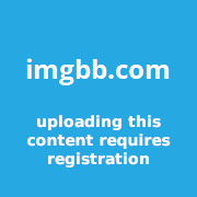 https://i.ibb.co/ks91sTRh/image.gif