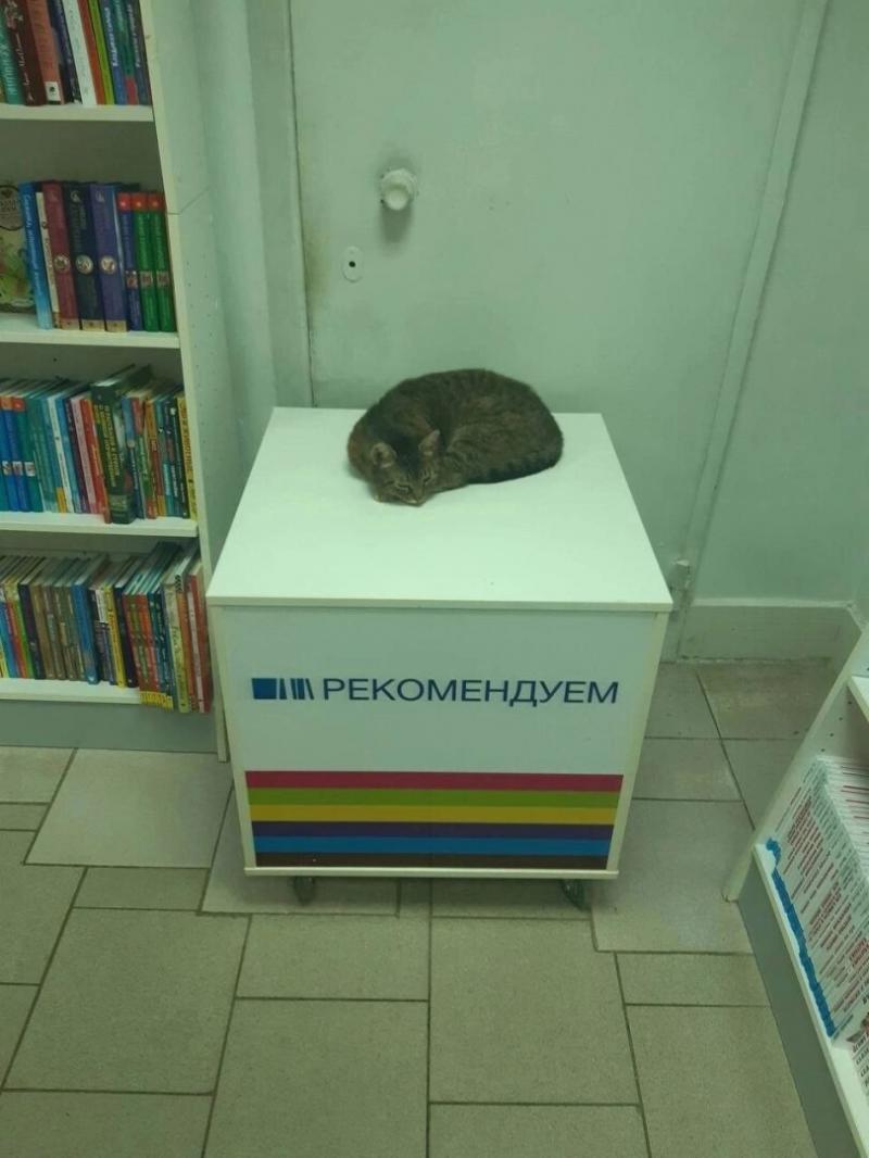 https://cs13.pikabu.ru/post_img/big/2024/03/13/4/1710309545145151369.png