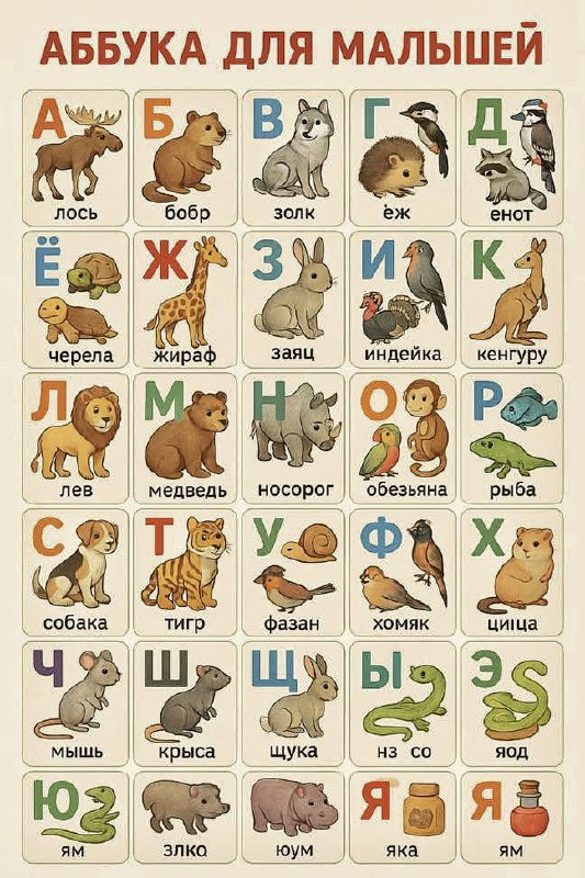 https://i.postimg.cc/zBHJcqrW/d999c16c-79d3-4978-aa89-fb5a8b876d0f.jpg