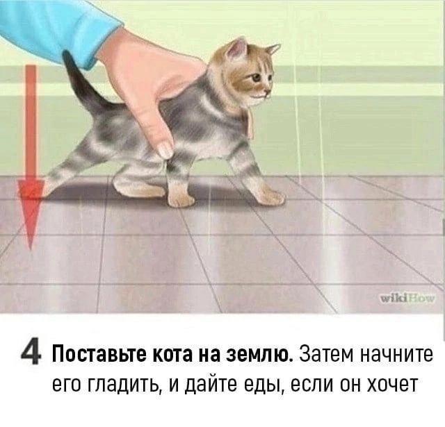 https://egammi.net/images/2025/07/29/qQNI.jpg