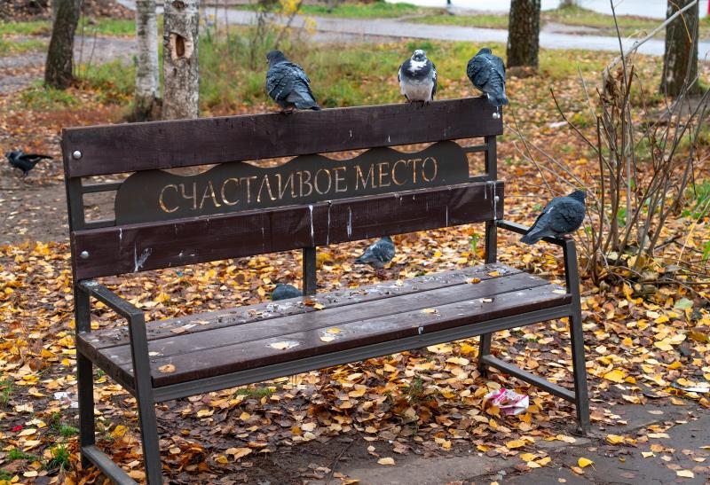 https://s1.hostingkartinok.com/uploads/images/2025/11/26cc32aad1aeaee5b1aa68344214c782.jpg