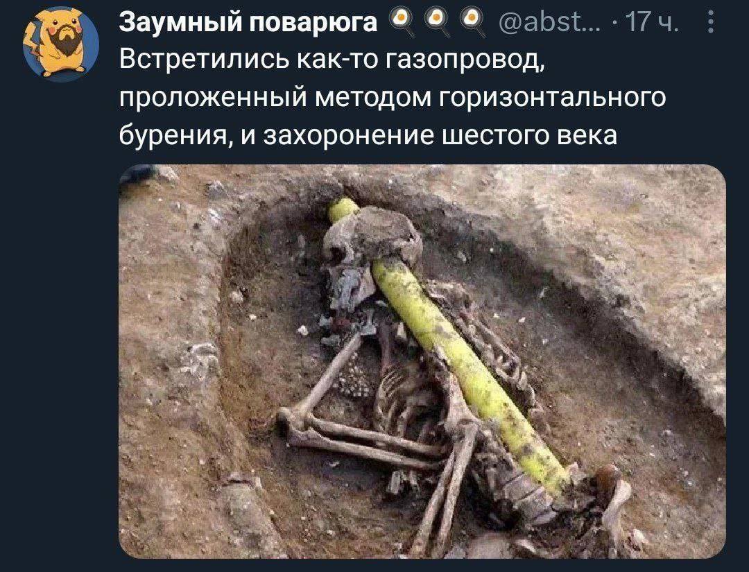 https://cs15.pikabu.ru/post_img/big/2024/10/22/4/172957511416953568.jpg