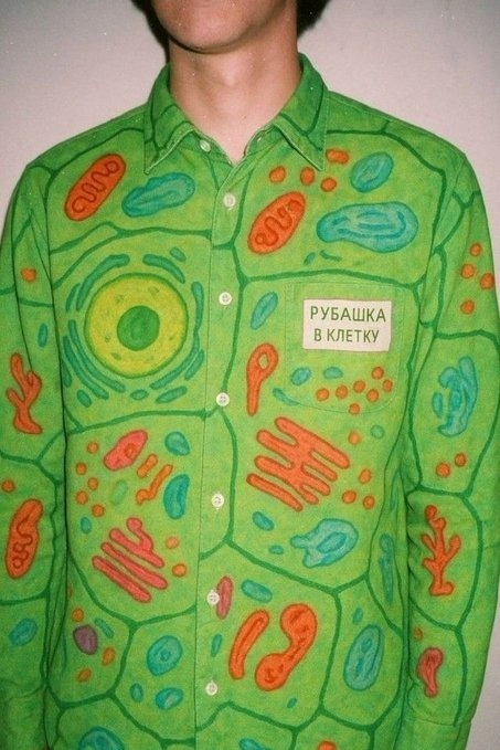 https://cs16.pikabu.ru/s/2026/05/30/13/cssh3xfa.jpg