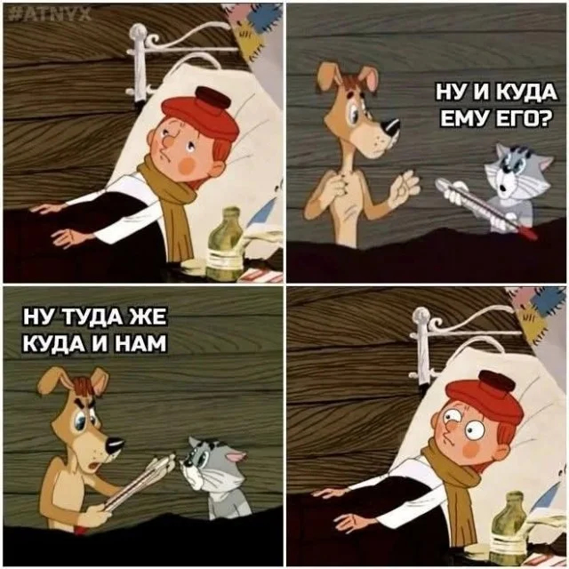 https://cs17.pikabu.ru/s/2026/06/16/15/2kcewtl3.jpg