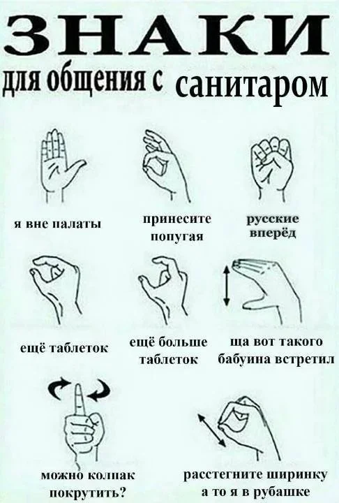 https://cs17.pikabu.ru/s/2026/06/23/13/ogkew3fj.webp