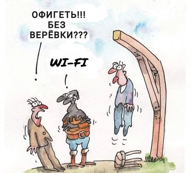 https://cs20.pikabu.ru/s/2026/06/30/09/oqlsptp2.jpg