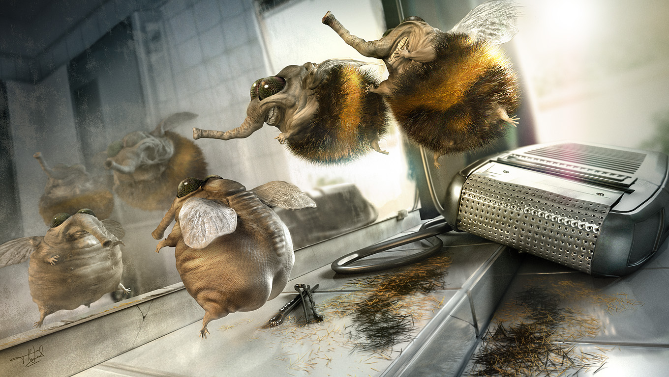 https://www.framebox.de/creations/3d/bumblebee/framebox_bumblebee_1360.jpg