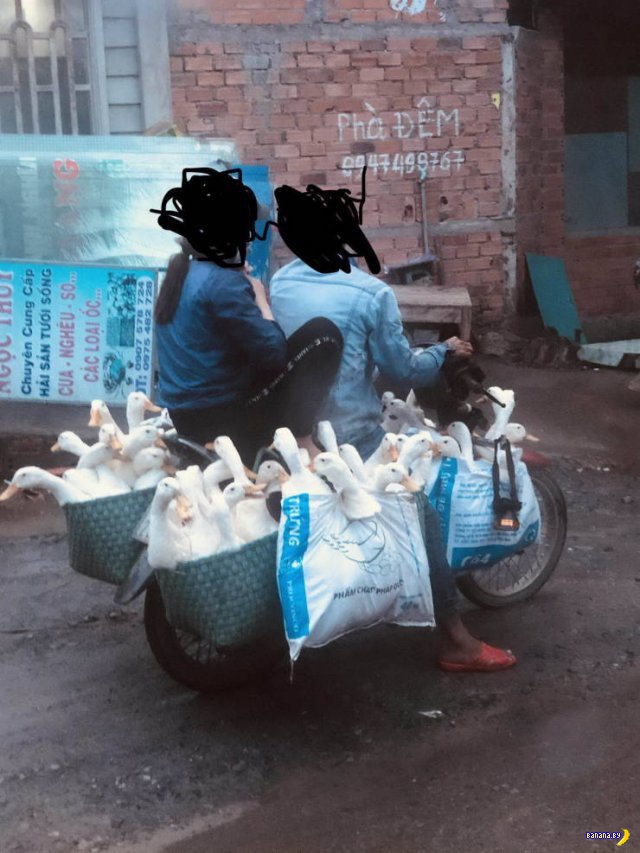 https://banana.by/uploads/posts/2019-08/1566278847_banana.by-prikoli-57.jpg