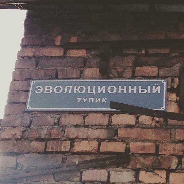 https://litworks.ru/wp-content/uploads/2017/01/158261.jpg