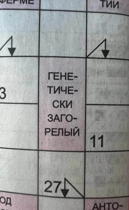 https://allwebs.ru/images/2026/08/13/f9cddfd843f3e23fae361af24be6ecff.png
