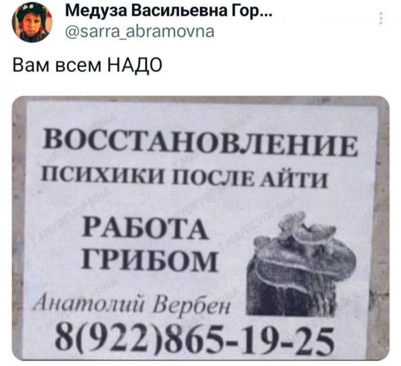 https://cs15.pikabu.ru/post_img/big/2024/11/20/6/173209095219611896.jpg