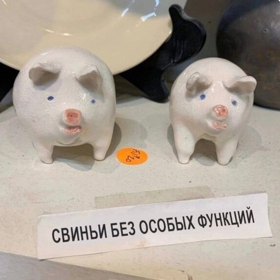https://i.ibb.co/0VyT8QPp/photo-2026-10-04-15-31-48.jpg